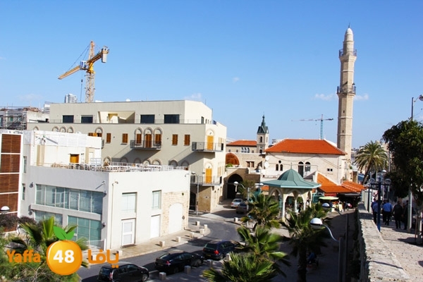 mina2 yaffaj343 (20).jpg